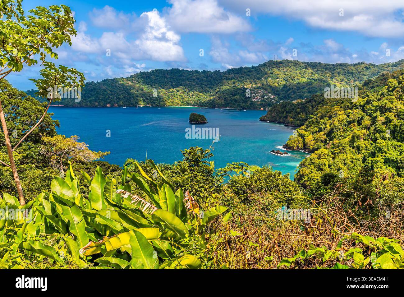Ein Blick auf die man O war Bay in Tobago an einem hellen Tag im Januar Stockfoto