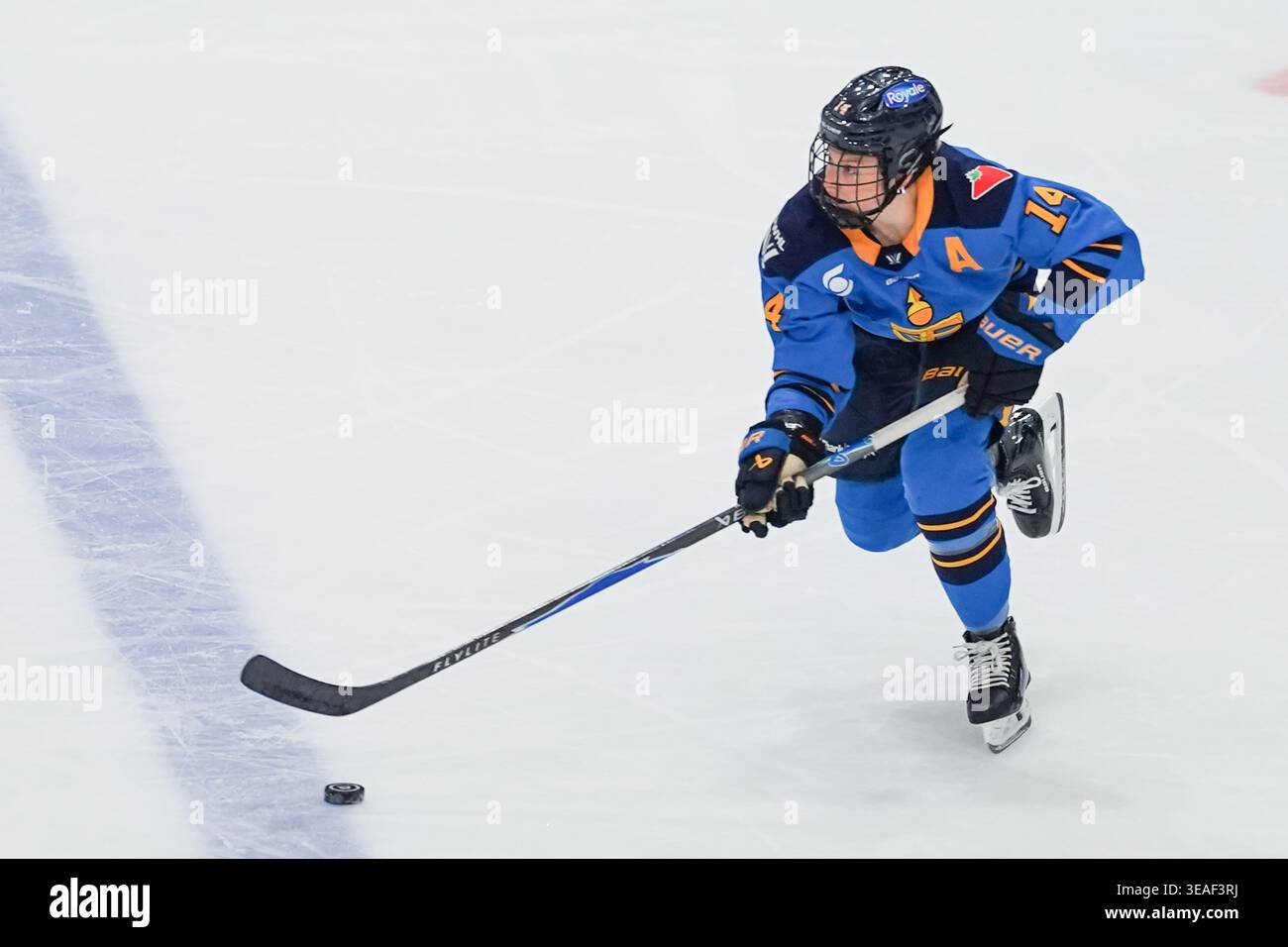 Toronto, Ontario, Kanada. April 2026. Defenderin Ella Shelton #17 der Toronto Sceptres während eines Spiels gegen die Toronto Sceptres und New York Sirens im Coca-Cola Coliseum am 21. April 2026 in Toronto, Kanada. (Kreditbild: © Leonardo Ramirez/eyepix via ZUMA Press Wire) NUR REDAKTIONELLE VERWENDUNG! Nicht für kommerzielle ZWECKE! Stockfoto