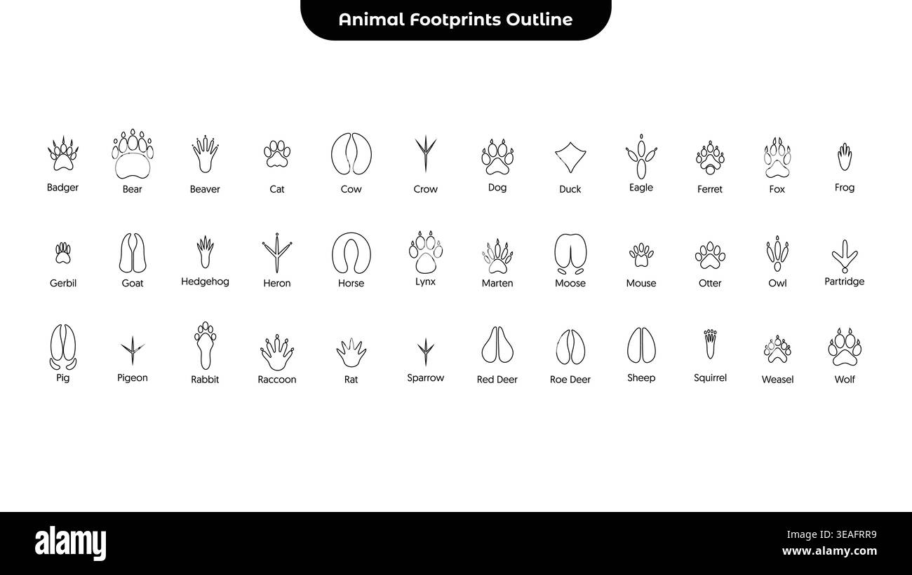 Tierfußabdrücke Tracks Outline Icons Set Wildlife Paw Vogel Hufdruck Silhouette Vektor Kollektion Stock Vektor