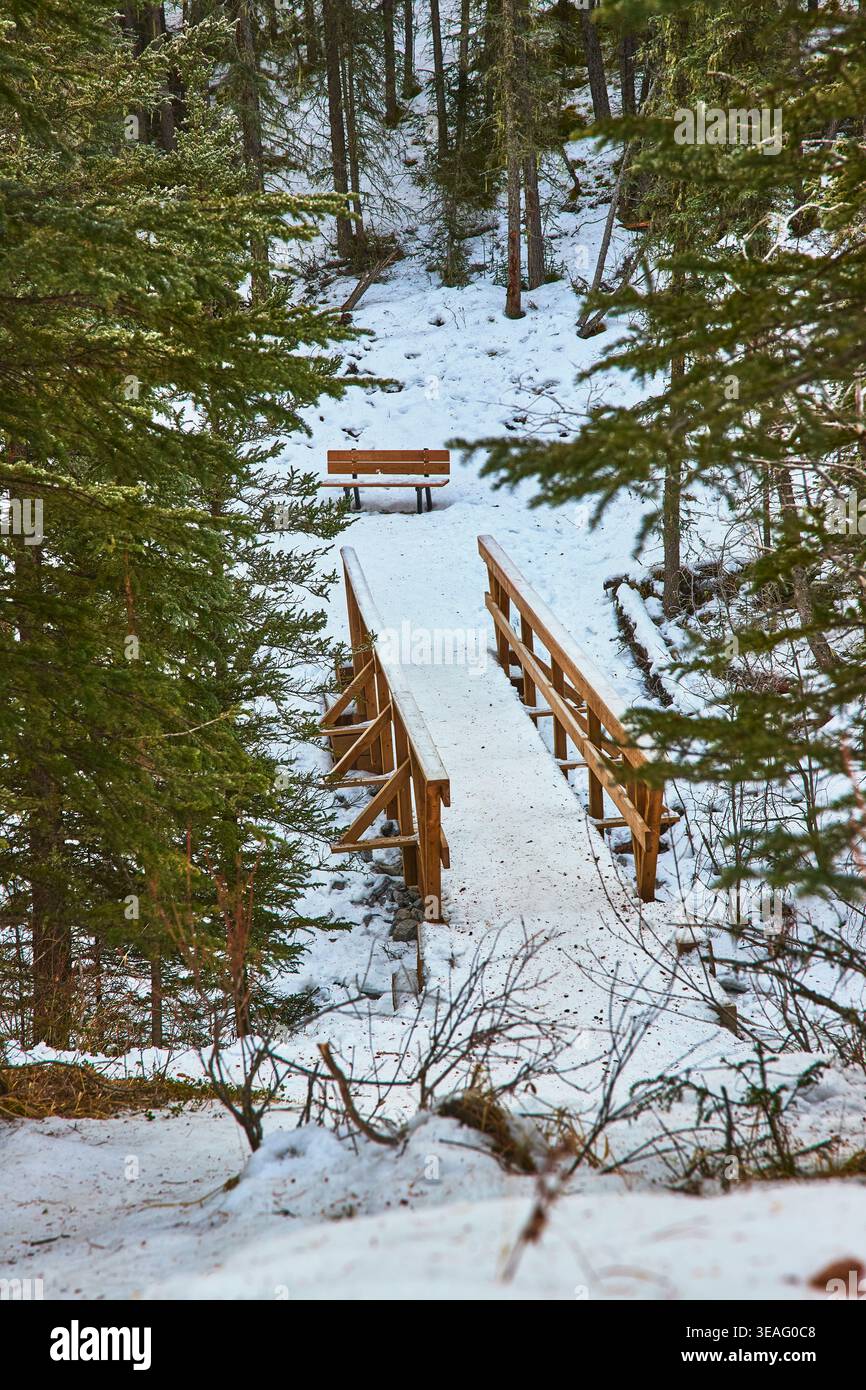 Winter Forest Holzbrücke und Trail mit Bank im Schnee Stockfoto