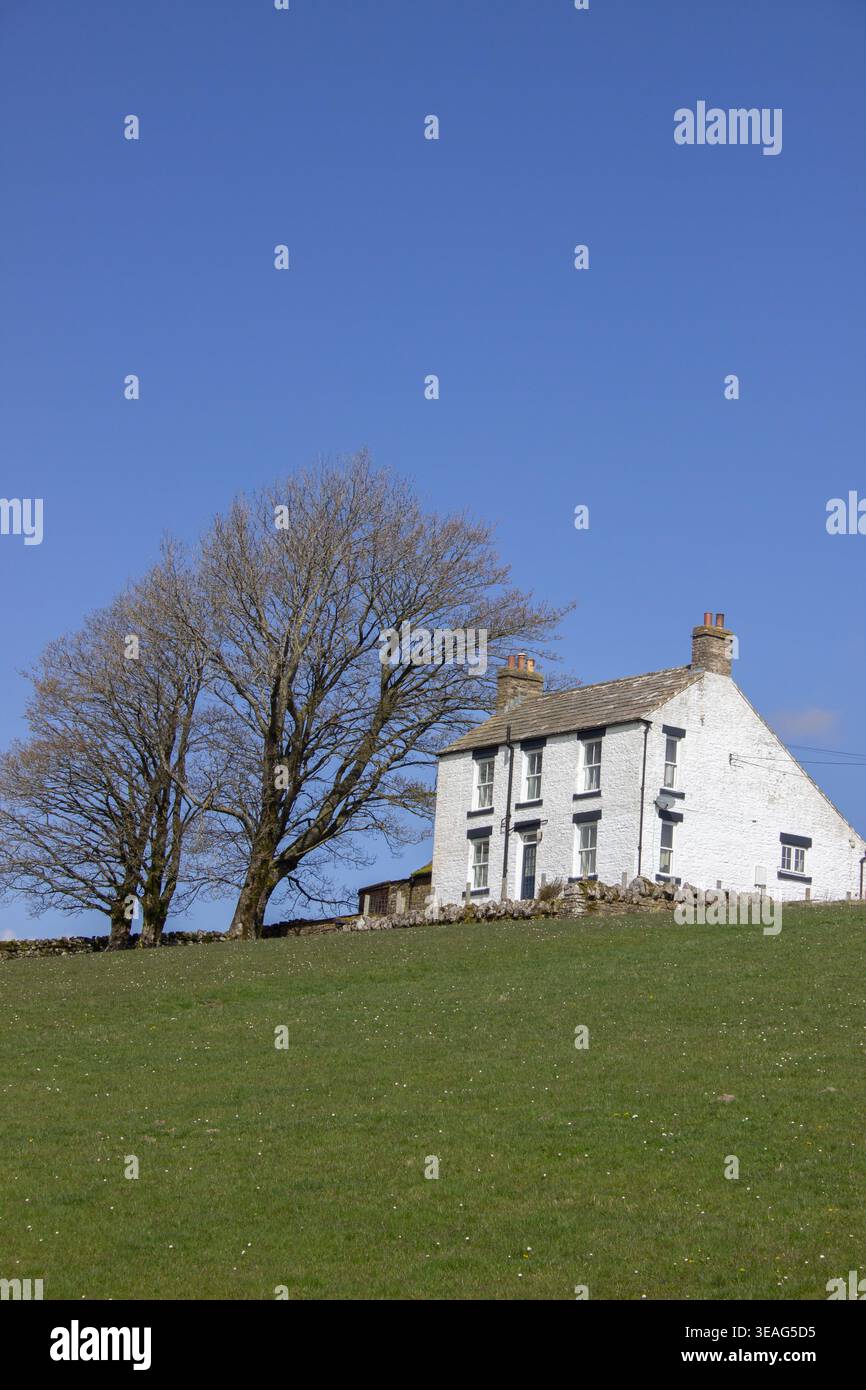 Das abgelegene Upper Teesdale Valley ist gespickt mit weiß getünchten Farmen und Cottages Stockfoto