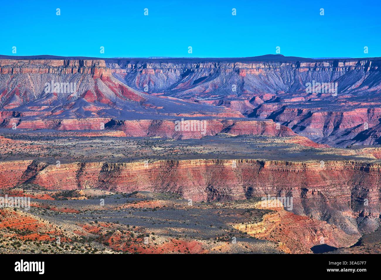 Grand Canyon Twin Point mit Blick auf die weitläufigen, geschichteten Klippen und das Wüstenpanorama Stockfoto