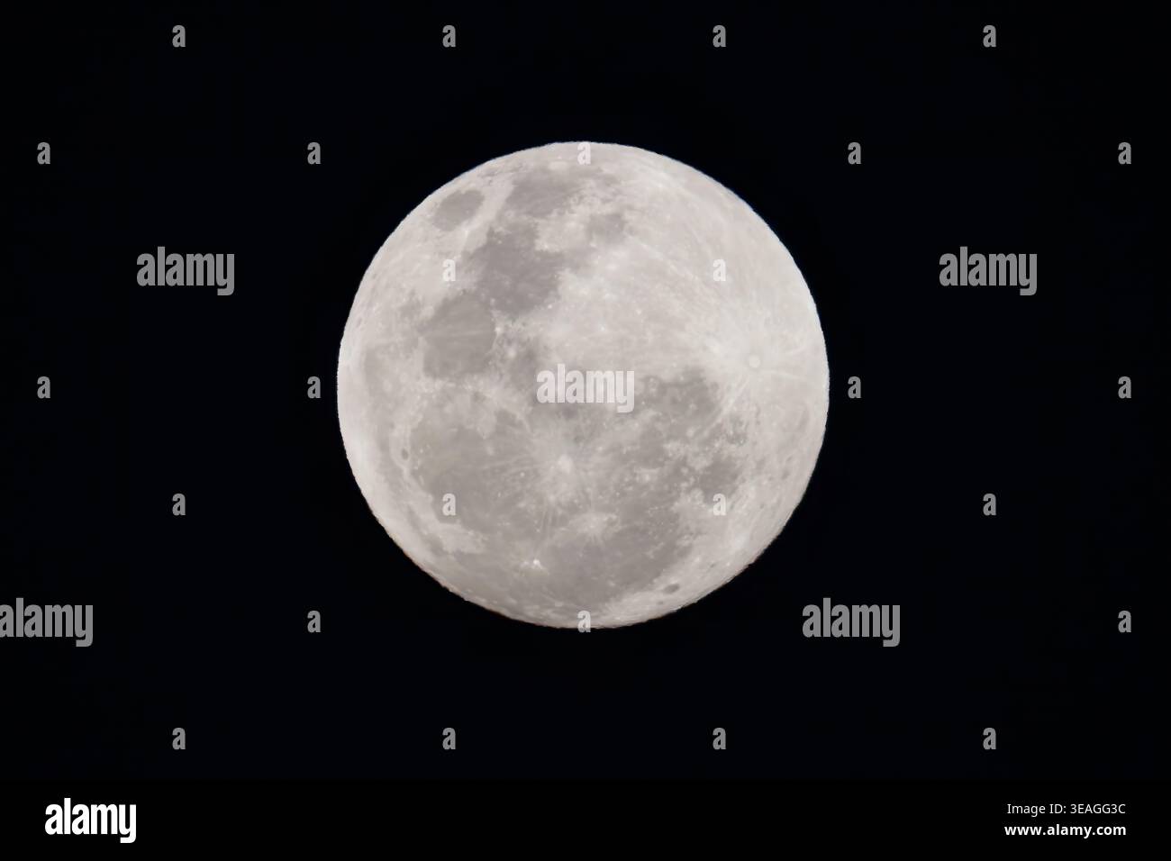 Detaillierter Vollmond isoliert vor einem tiefschwarzen Nachthimmel, der sichtbare Krater und Oberflächenmerkmale zeigt. Stockfoto