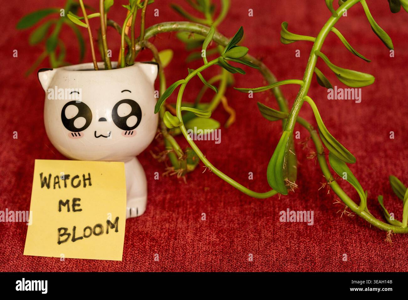 Konzept für symbolisches Wachstum und persönliche Entwicklung mit Topfpflanze, lesbarer Textnotiz „Watch Me Bloom“ Stockfoto