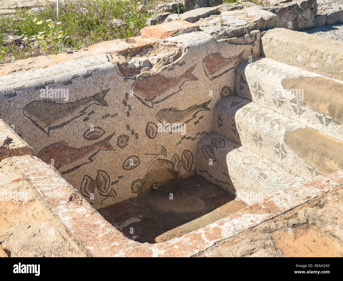 Detailliertes altes römisches Mosaik von Fischen und Muscheln im Kaltwasserbecken (Frigidarium) in den römischen Ruinen von Milreu in Estoi, Portuga Stockfoto