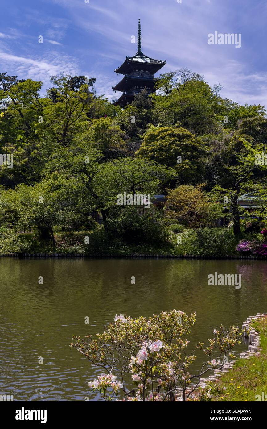 Malerischer Blick auf einen klassischen Pagode-Turm, umgeben von Bäumen und Wasser in Japan Stockfoto