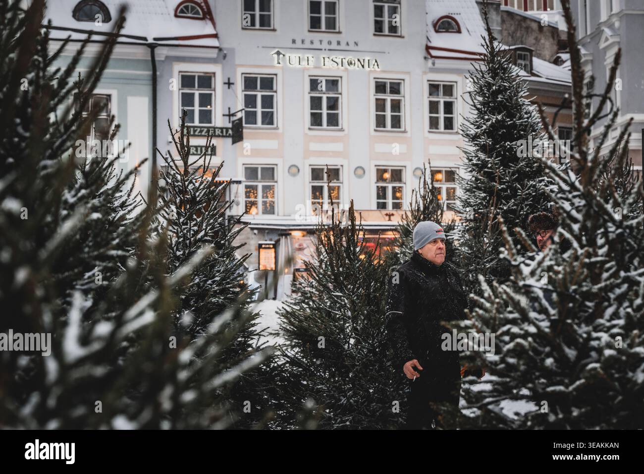 Tallinn, Estland - 03. Januar 2025: Blick auf einen Mann inmitten von schneebedeckten Bäumen, mit dem beleuchteten Schild „Restoran Estonia“, das warm gegen den PA leuchtet Stockfoto