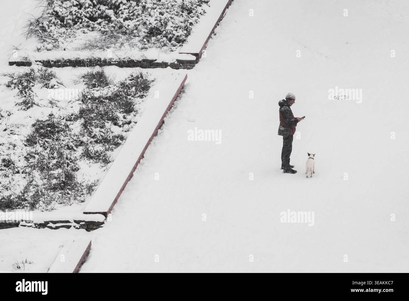 Tallinn, Estland - 03. Januar 2025: Blick auf eine Einzelfigur mit ihrem Hund, der inmitten einer riesigen Weite von frischem, unberührtem Schnee steht und lange gegossen hat Stockfoto