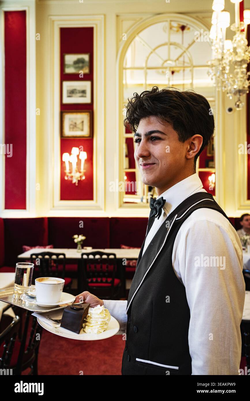 Junge Kellner servieren Original Sacher Kuchen, Cafe Sacher, Inneneinrichtung, Kaffeekultur in Wien, Österreich Stockfoto