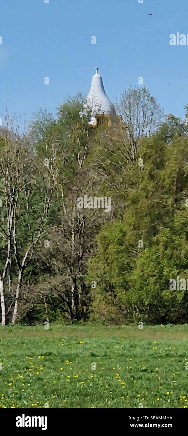 Pear Mill Dome blickt über Bäume in Stockport - Smartphone-aufgenommenes Stockfoto