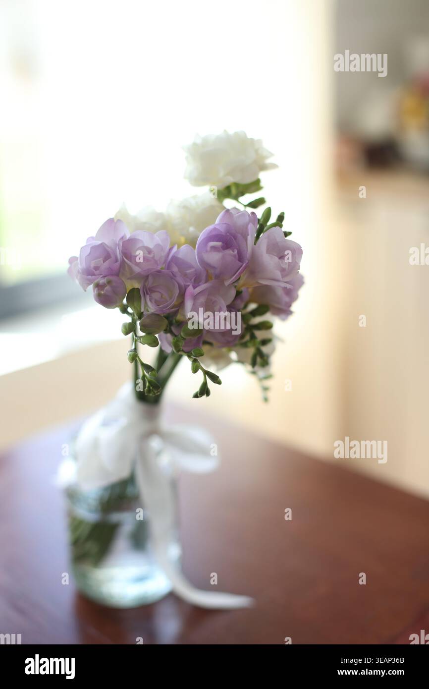 Wunderschöne Freesien-Blumen in Vase auf dem Tisch drinnen. Wunderschöne violette Freesieblume. Romantisches Stillleben im Frühling. Romantischer Hintergrund mit Blumen Stockfoto