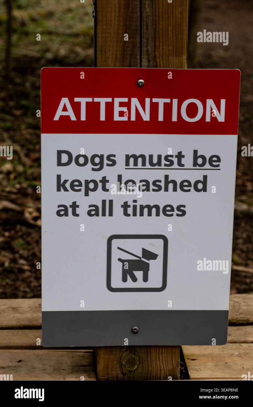 Melden Sie sich im Park an. Informationsschild. Hunde müssen jederzeit an der Leine gehalten werden. Ontario, Kanada Stockfoto