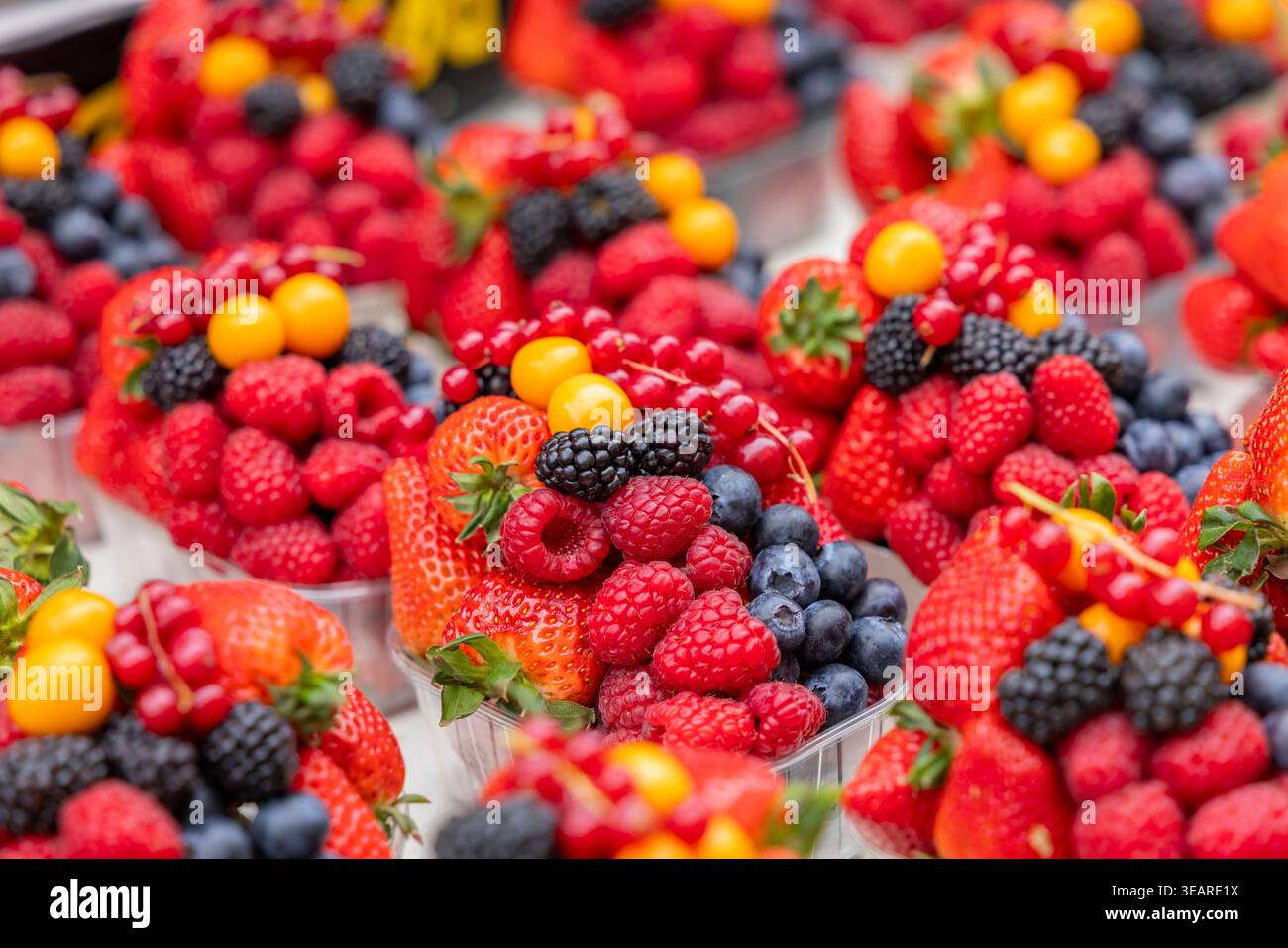 Frisch geerntete gemischte Beeren bieten gesunde Snacks auf einem Markt im Freien Stockfoto