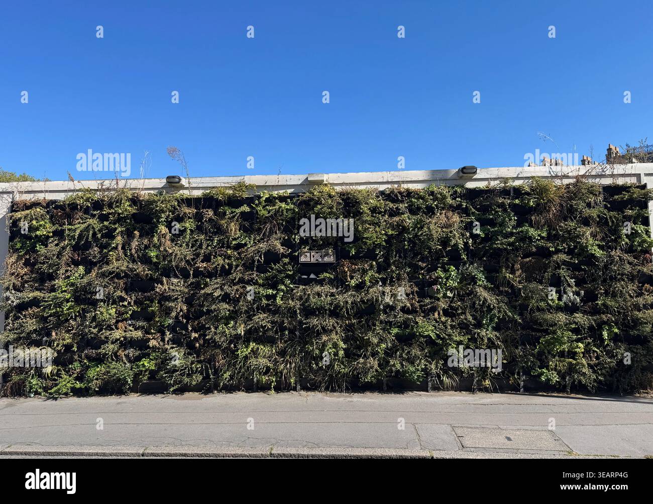 Grüne Wand - Smartphone-aufgenommenes Stockfoto