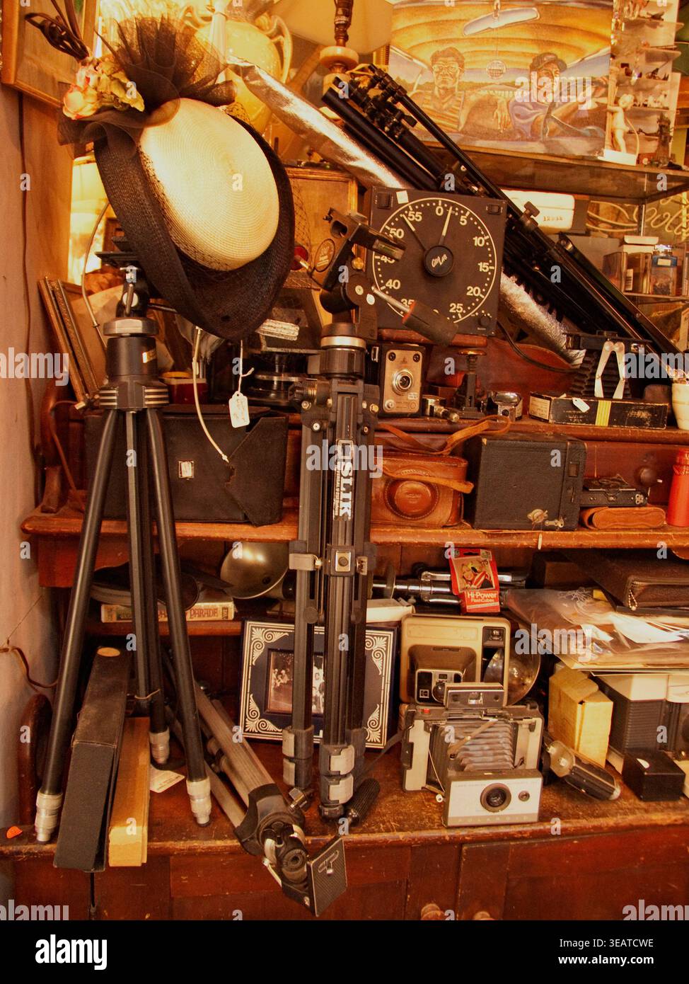 Alte Fotoausrüstung in einem Antiquitätenladen in New Orleans, LA. Stockfoto