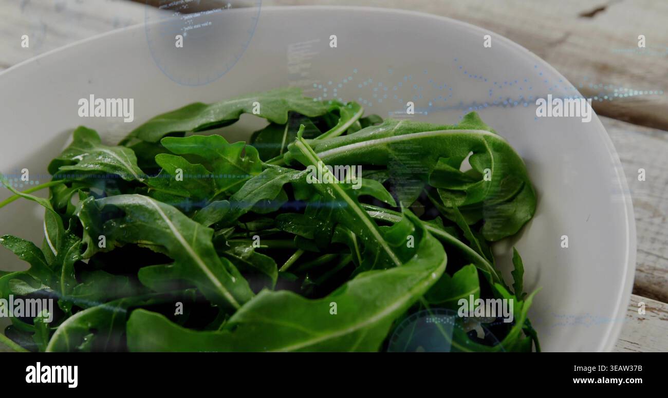 Weiße Keramikschale mit frischen Rucolablättern in der Küche auf Holztisch, Wassertröpfchen Stockfoto