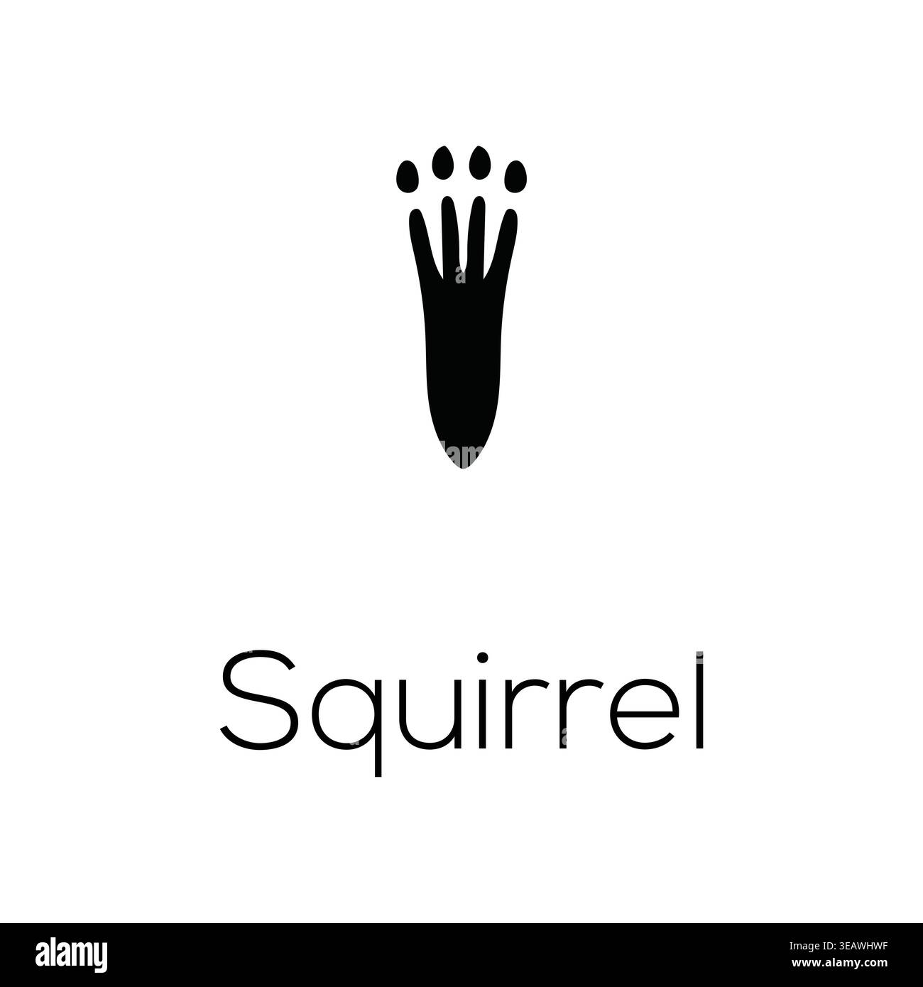 Eichhörnchen Footprint Paw Print Silhouette Vektor Symbol Schwarz Isolierte Wildlife Track Symbol Stock Vektor