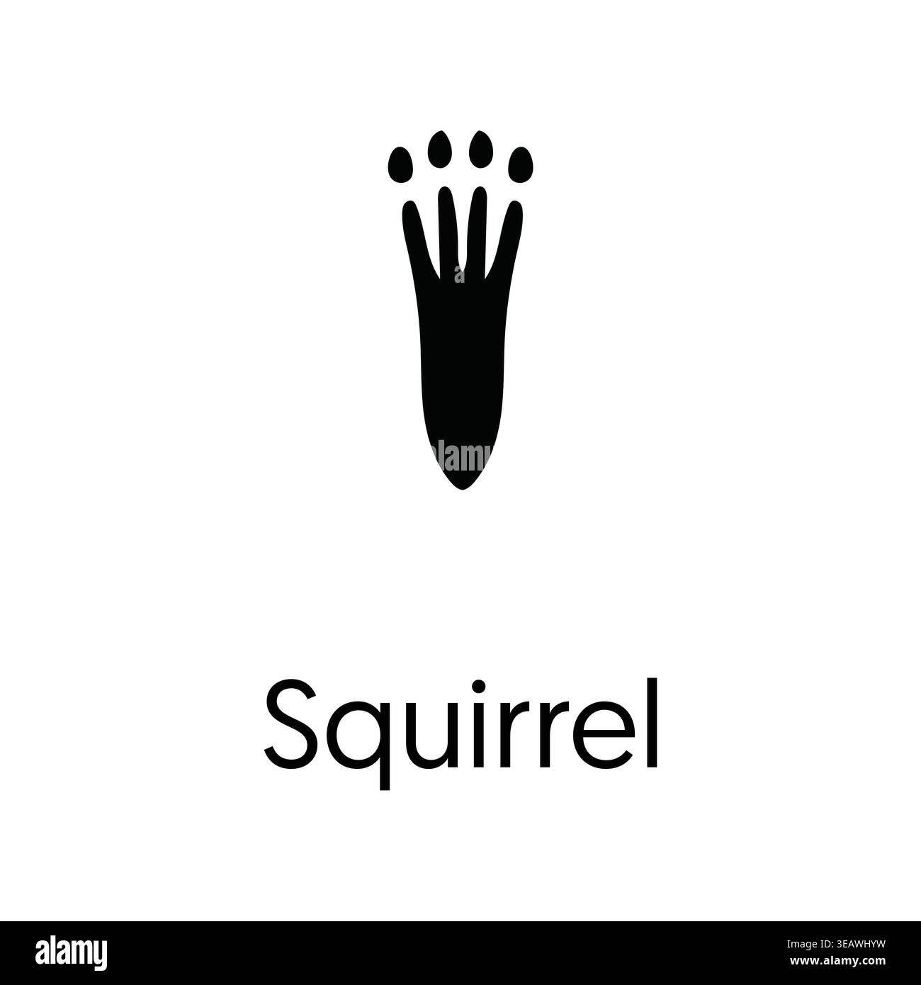 Eichhörnchen Footprint Paw Print Silhouette Vektor Symbol Schwarz Isolierte Wildlife Track Symbol Stock Vektor