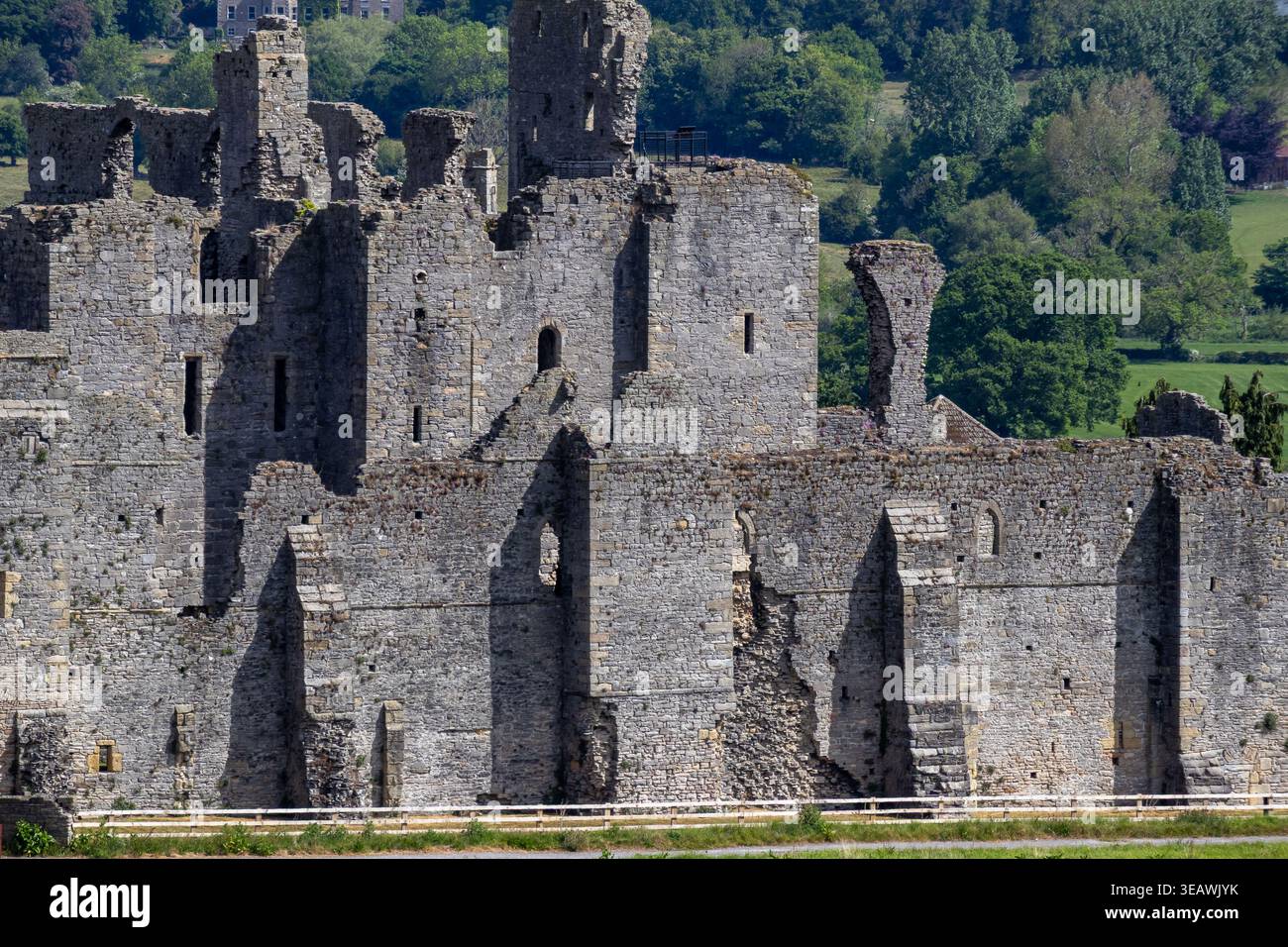Middleham Castle ruinierte Mauern und Türme im Sonnenlicht mit grünem Wald dahinter Stockfoto