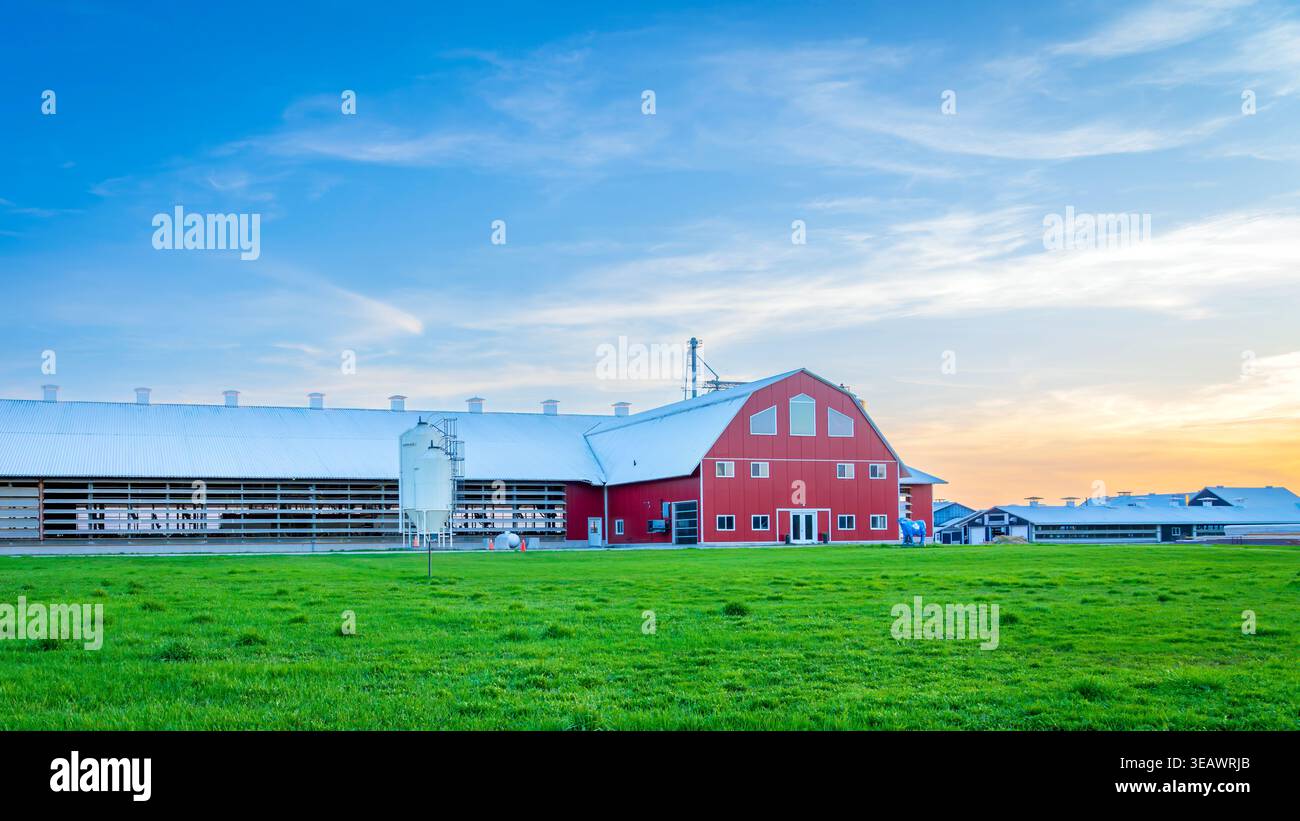 Moderne Milchviehbetriebe, die sich dem Sonnenuntergang nähern, in Seaforth Ontario Canada. April 2026. Stockfoto