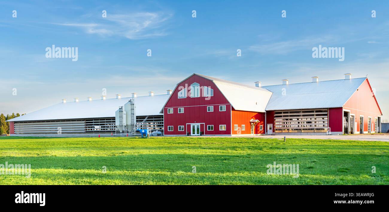 Moderne Milchviehbetriebe, die sich dem Sonnenuntergang nähern, in Seaforth Ontario Canada. April 2026. Stockfoto