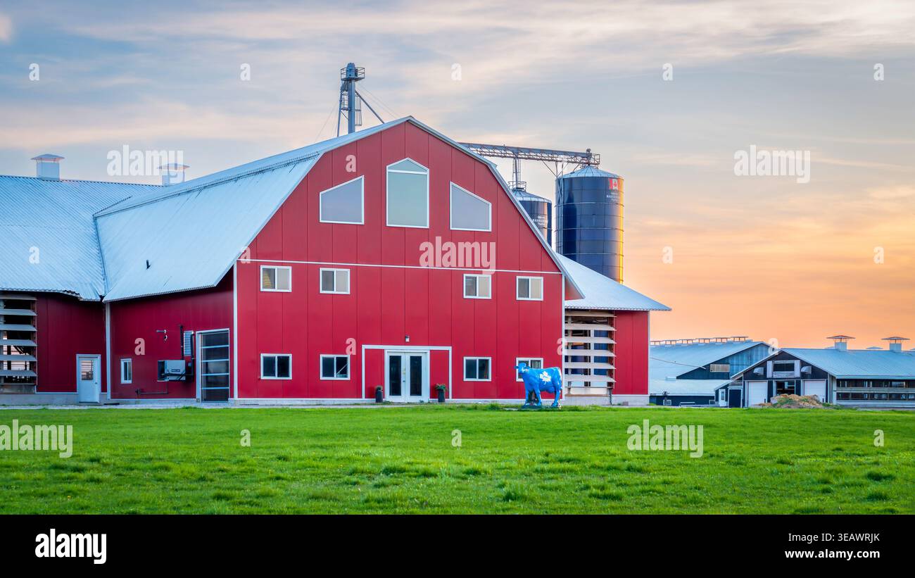 Moderne Milchviehbetriebe, die sich dem Sonnenuntergang nähern, in Seaforth Ontario Canada. April 2026. Stockfoto