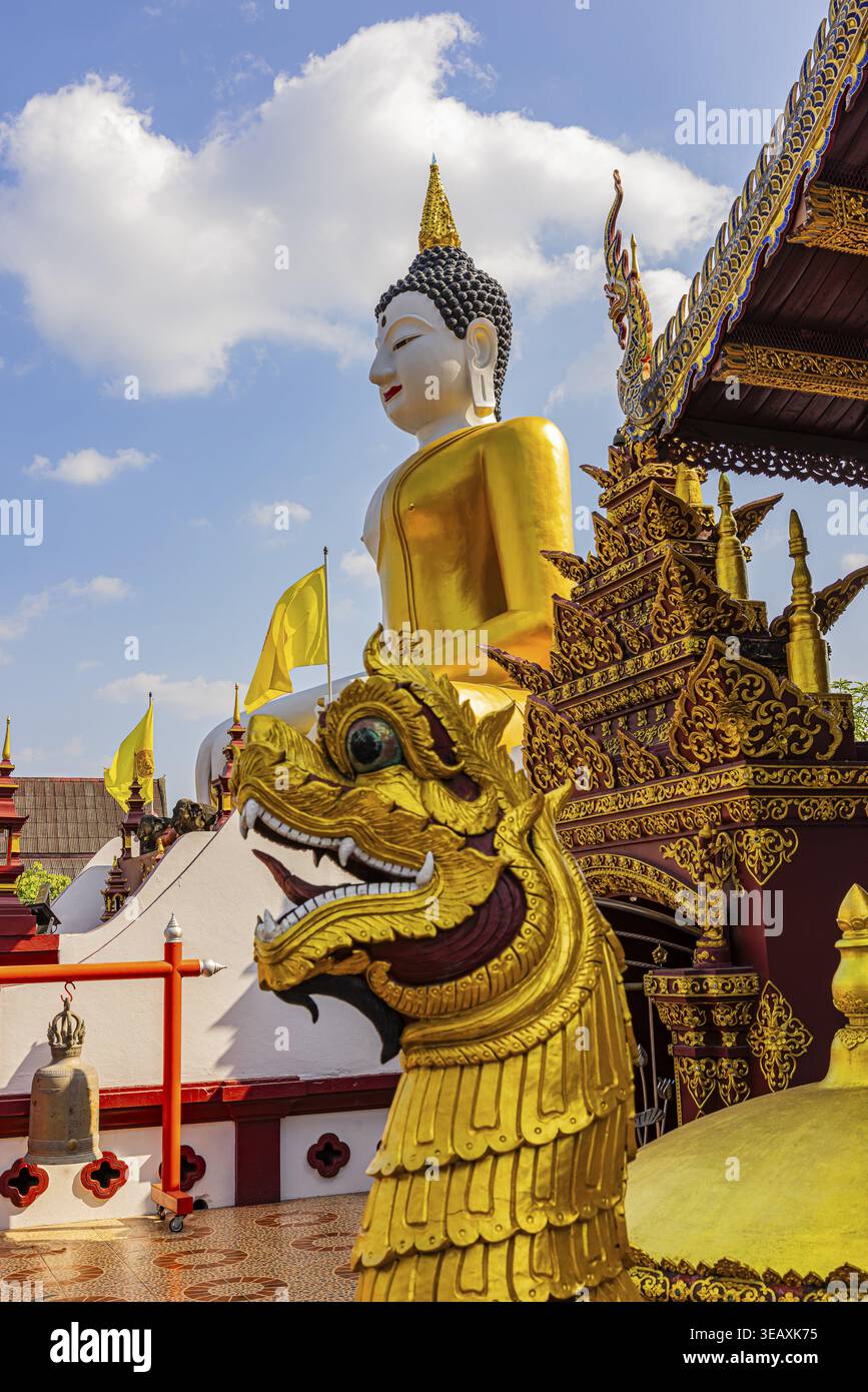 Riesiger vergoldeter sitzender Buddha, vor einem mystischen Drachenkopf, vor dem buddhistischen Tempelkomplex Wat Phra That Doi Kham, Chiang Mai, Thailand Stockfoto