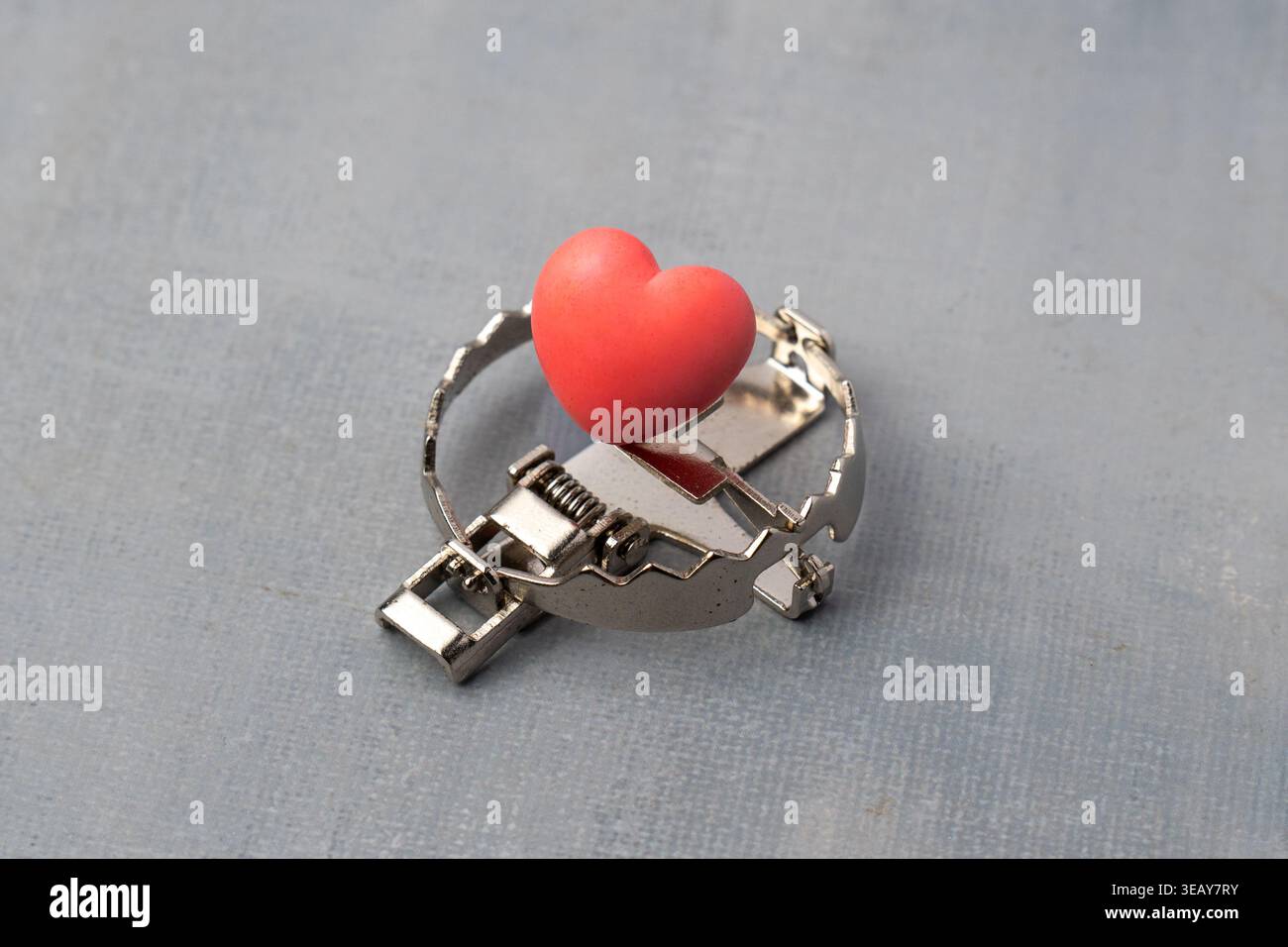 Ein rotes Herz als Köder in einer scharfen Metallfalle. Toxische Beziehungen, gefährliche Liebe, emotionale Täuschung, Liebesbetrügerkonzept. Stockfoto