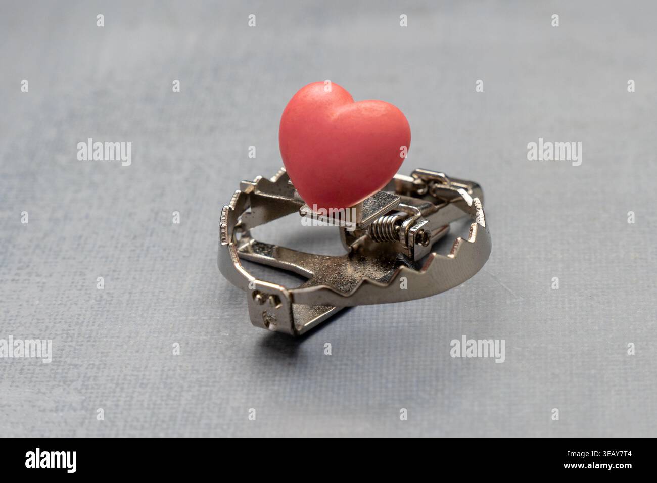 Ein rotes Herz als Köder in einer scharfen Metallfalle. Toxische Beziehungen, gefährliche Liebe, emotionale Täuschung, Liebesbetrügerkonzept. Stockfoto