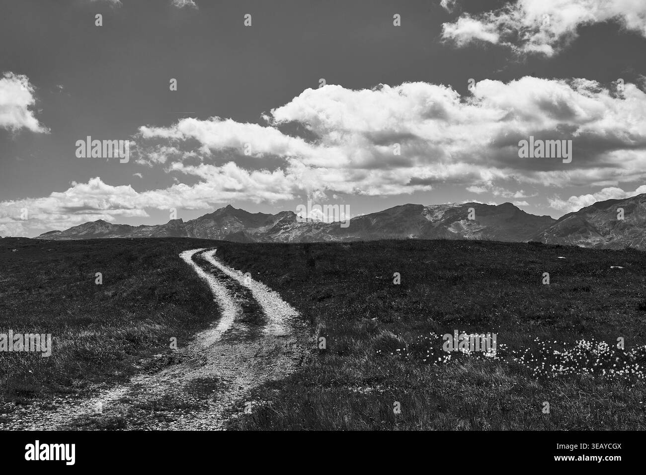 Schwarz-weißer Bergpfad durch die Almwiesen in Valchiavenna, Lombardei, Italien, unter dramatischen Wolken und zerklüfteten Gipfeln Stockfoto