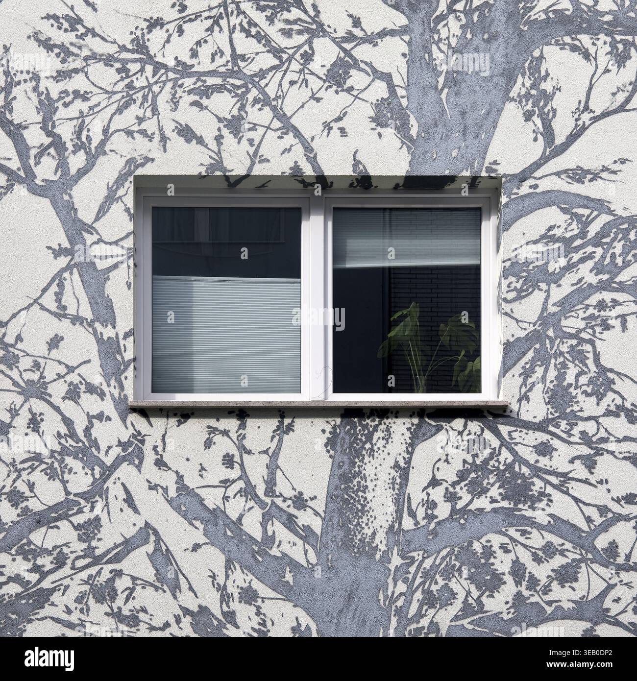 Streetart, Köln, Nordrhein-Westfalen, Deutschland Stockfoto