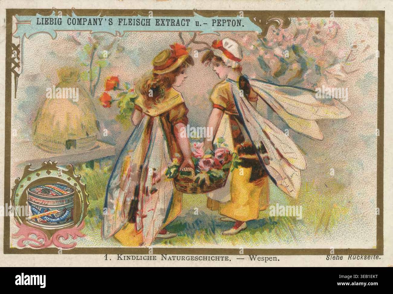 „Bilderserie „Naturgeschichte der Kinder“, zwei Kinder in fantasievollen Kostümen mit Insektenflügeln, die eine Wespe und eine Biene darstellen, neben einem Bienenstock, Liebigbild, digital restaurierte Wiedergabe eines Sammelbildes aus der Zeit um 1900, exaktes Datum unbekannt“ Stockfoto
