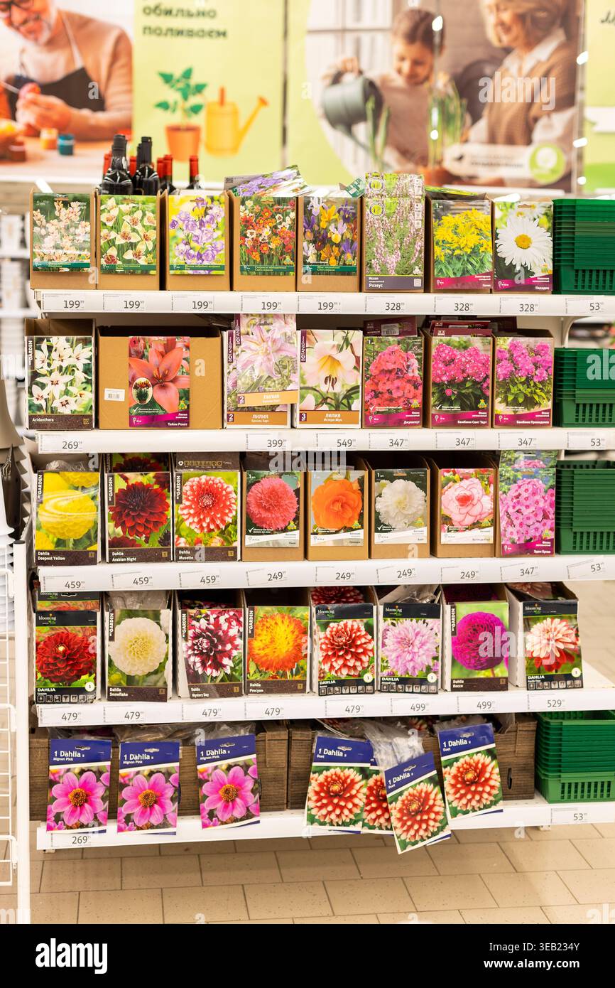 Russland, Moskau, 31. März 2026 - Blumensamen in einem Geschäft ausgestellt. Gärtner bereiten sich auf den Frühling vor. Stockfoto