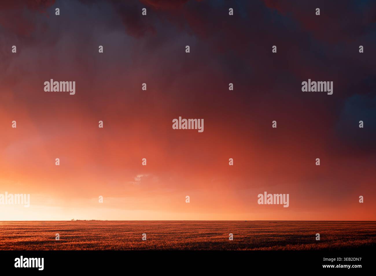 Dramatischer Sonnenuntergangshimmel über einem Farmfeld in den Great Plains Stockfoto