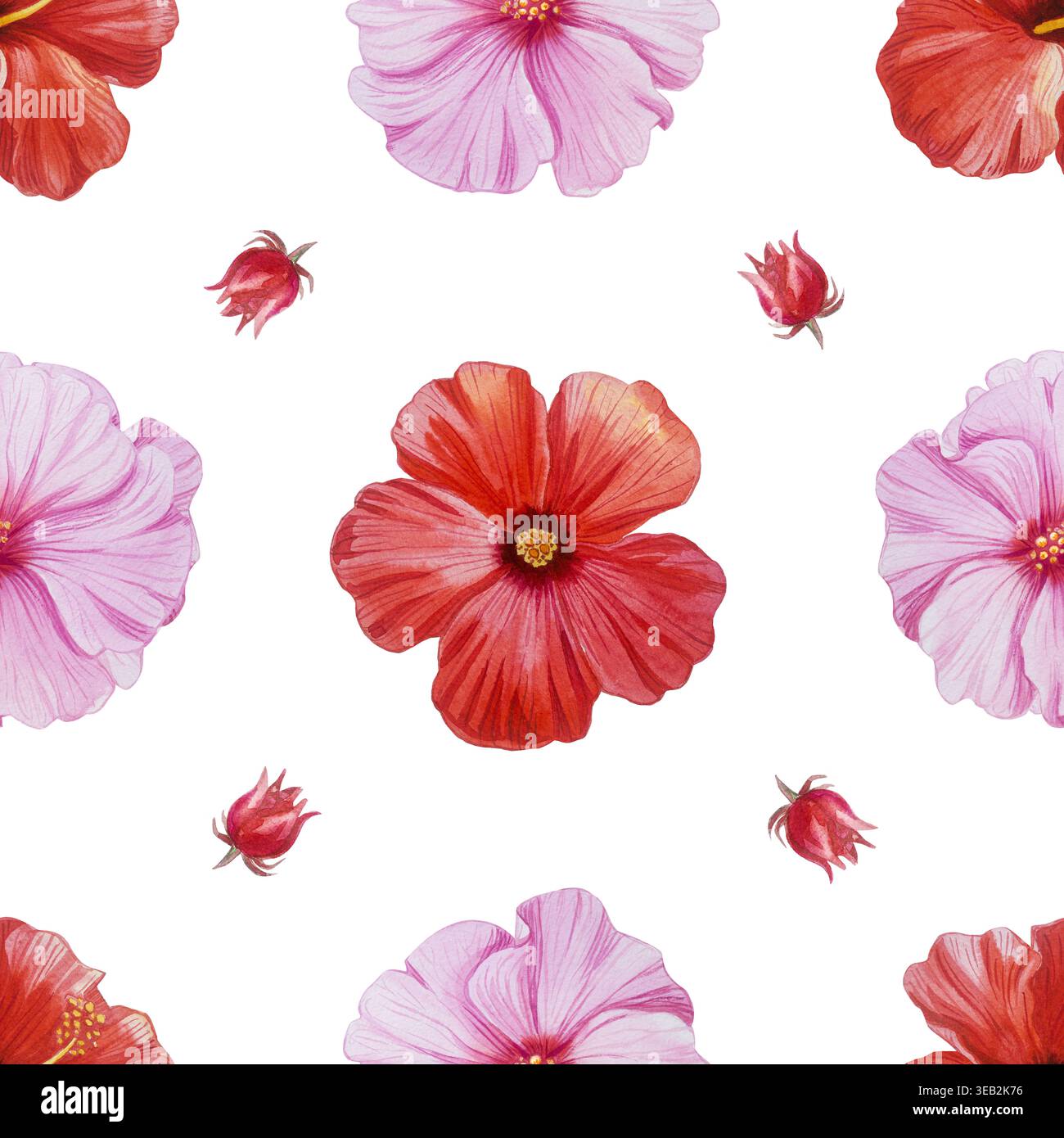 Rote und rosafarbene Hibiskusblüten in nahtlosem Aquarellmuster. Handgezeichnete tropische blühende Pflanze auf dunklem Hintergrund. Realistische Detailzeichnung Stockfoto
