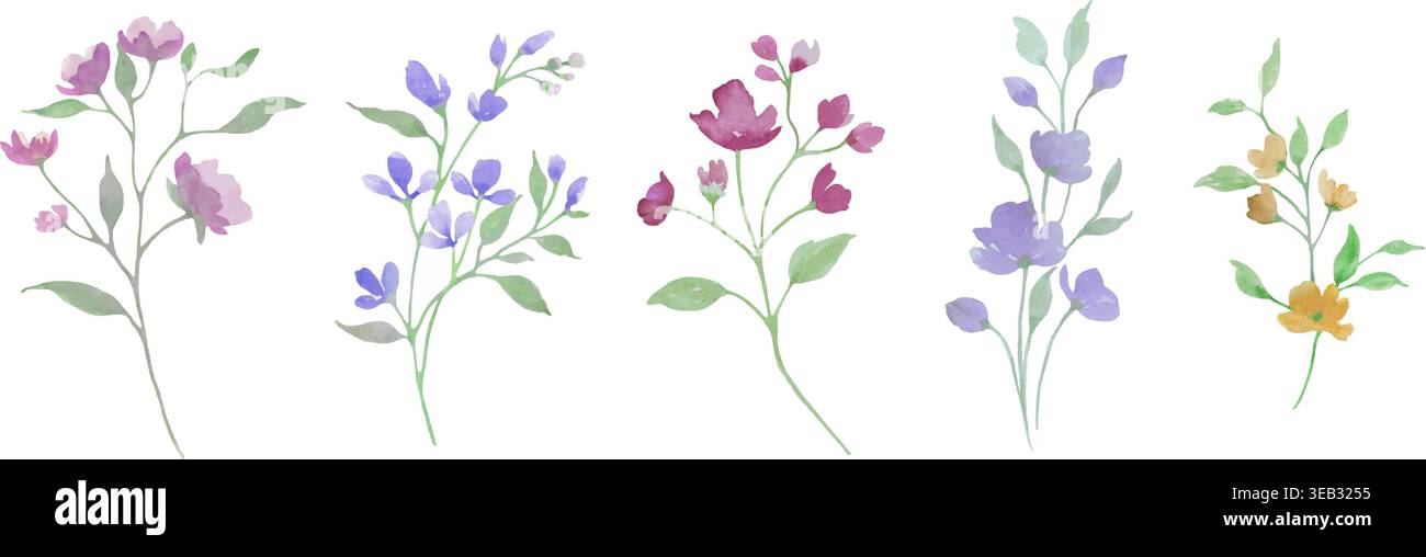 Blumenelemente in Aquarellfarben mit rosa, lila, blauen Blüten und grünen Blättern. Botanische handgemalte Sammlung isoliert auf weiß. Vektor-EPS. Stock Vektor