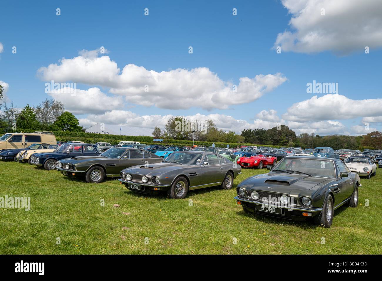 20. April: Die dreifache Reihe nummerierte Aston Martin auf dem Oldtimer- und Oldtimerparkplatz auf der Goodwood Race Circuit, West Sussex, England, Großbritannien. Stockfoto