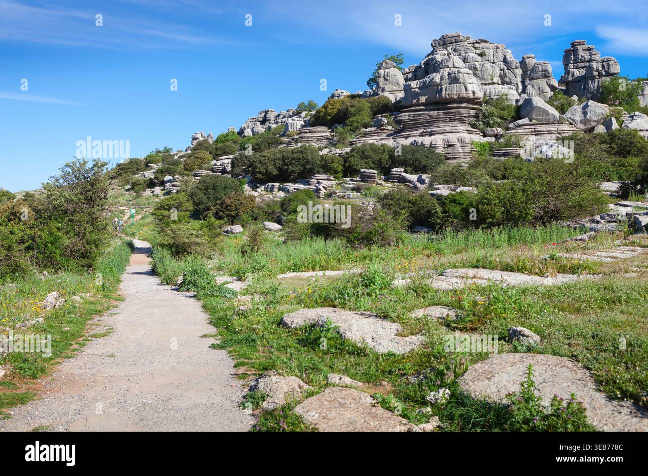 Blick vom Wanderweg auf das Naturphänomen der Karsterosion in El Torcal de Antequera im späten Frühjahr. El Torcal de Antequera ist ein Naturfreund Stockfoto
