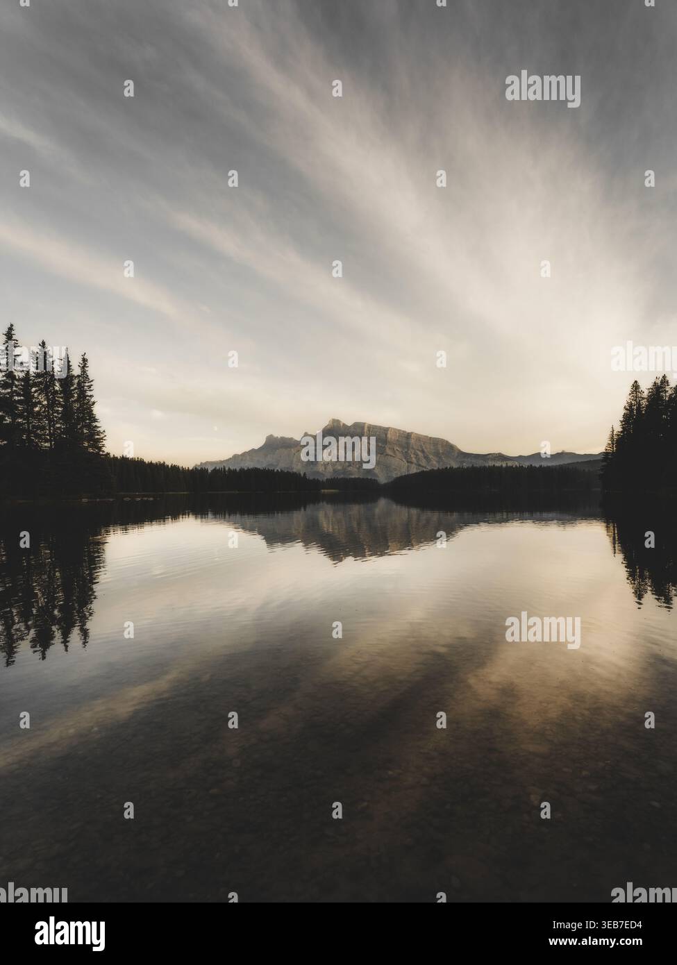 Blick auf Mount Rundle, der sich im ruhigen Wasser eines Sees spiegelt, umgeben von immergrünen Kiefern unter einem weichen Morgenhimmel in Kanada. Stockfoto