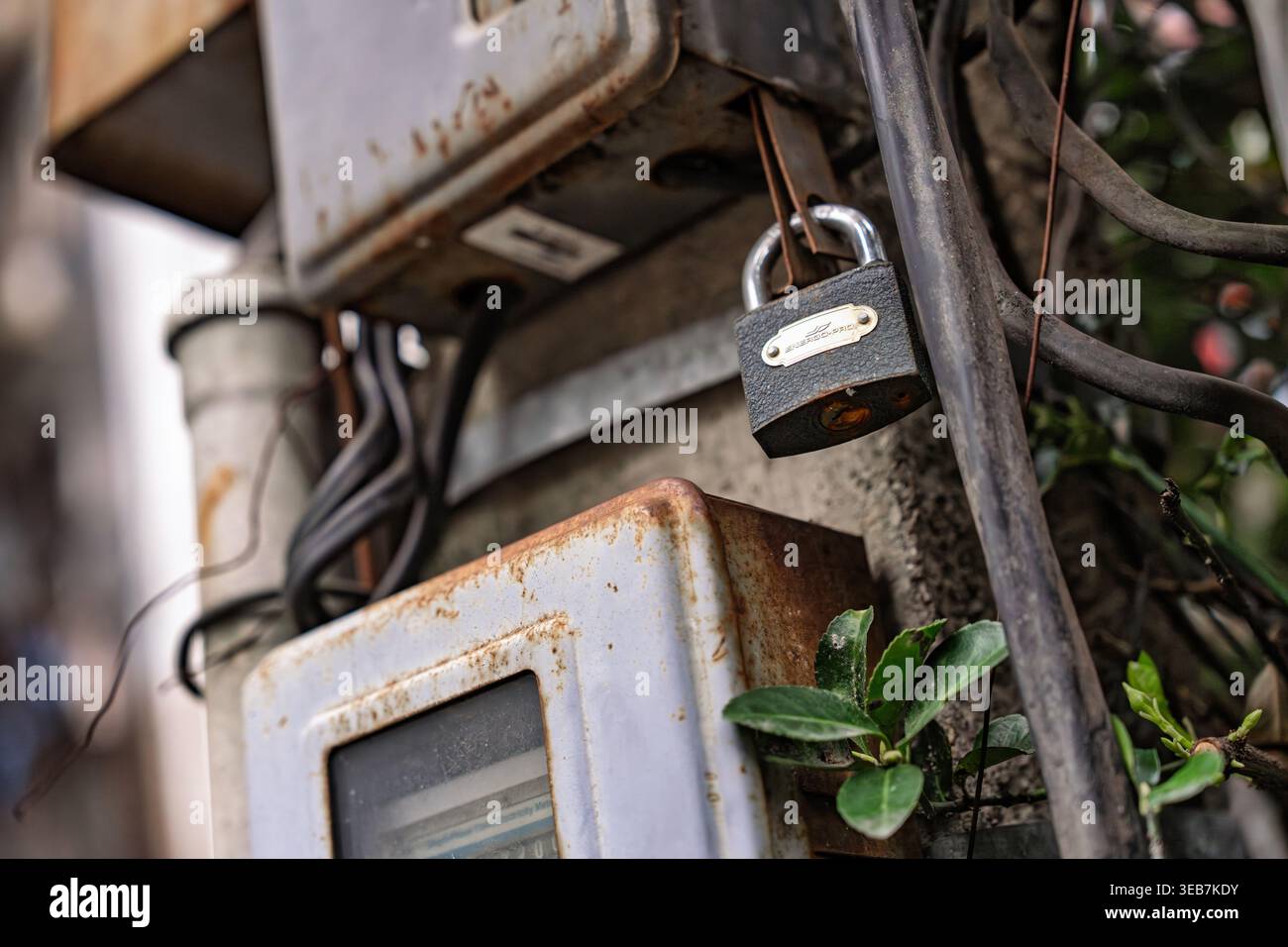 Batumi, georgia 21. april 2026: Altes Vorhängeschloss an einem verrosteten elektrischen Zähler an einer verwitterten Wand mit verworrenen Drähten und einer kleinen grünen Pflanze, die schießt Stockfoto