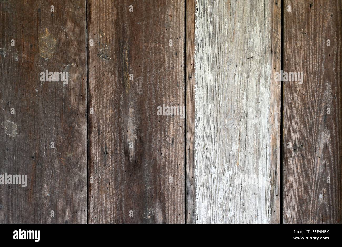 Verkleidungen aus wiederverwertetem Holz mit braun verwitterten Brettern, starker Holzmaserung, einer abgenutzten weiß lackierten Diele, Lücken zwischen Brettern, Nagelköpfen, Schraubenspitzen, Stockfoto