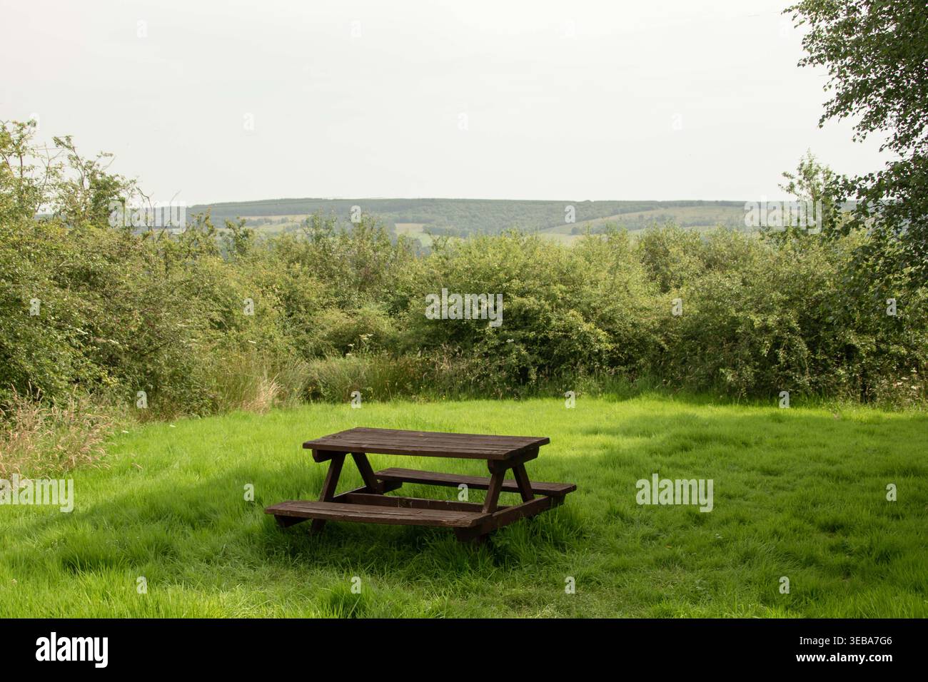 Ein leerer hölzerner Picknicktisch auf einem üppig grünen Rasen, umgeben von dichten Büschen. Stockfoto