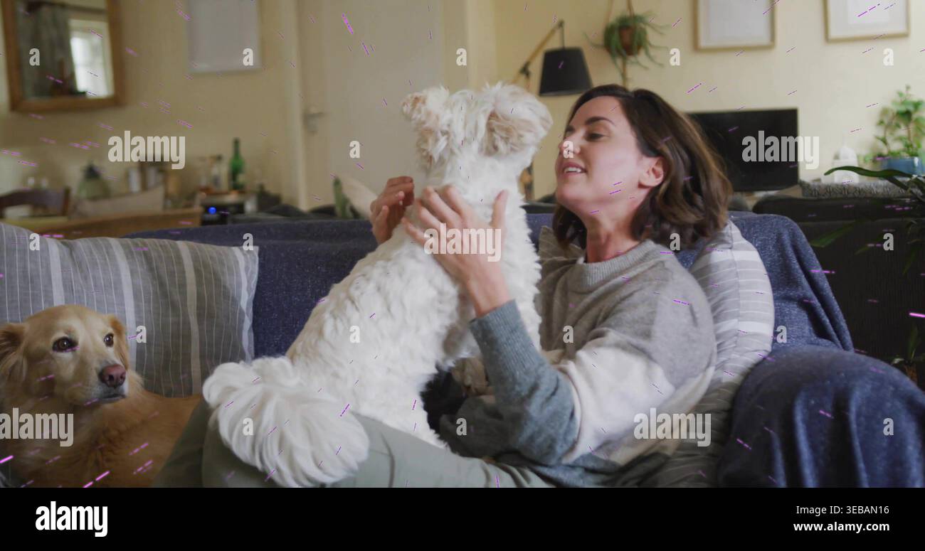 Hund heben, Frau in grauem Pullover, die ihn auf blaugrauem Sofa neben goldenem Hund zu Hause hält Stockfoto
