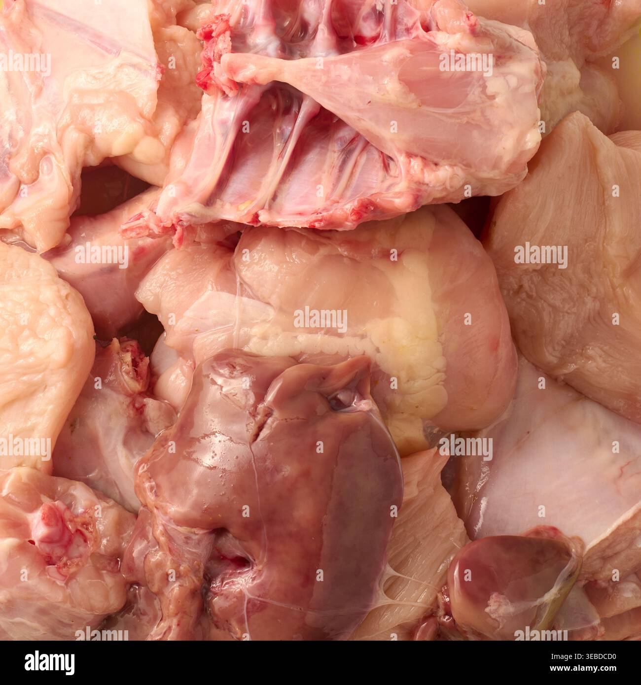 Rohes Hühnerfleisch, einschließlich Leber und Knochen, frische Geflügelteile mit natürlichen rosa und roten Farben im Vollformathintergrund, Großansicht Stockfoto