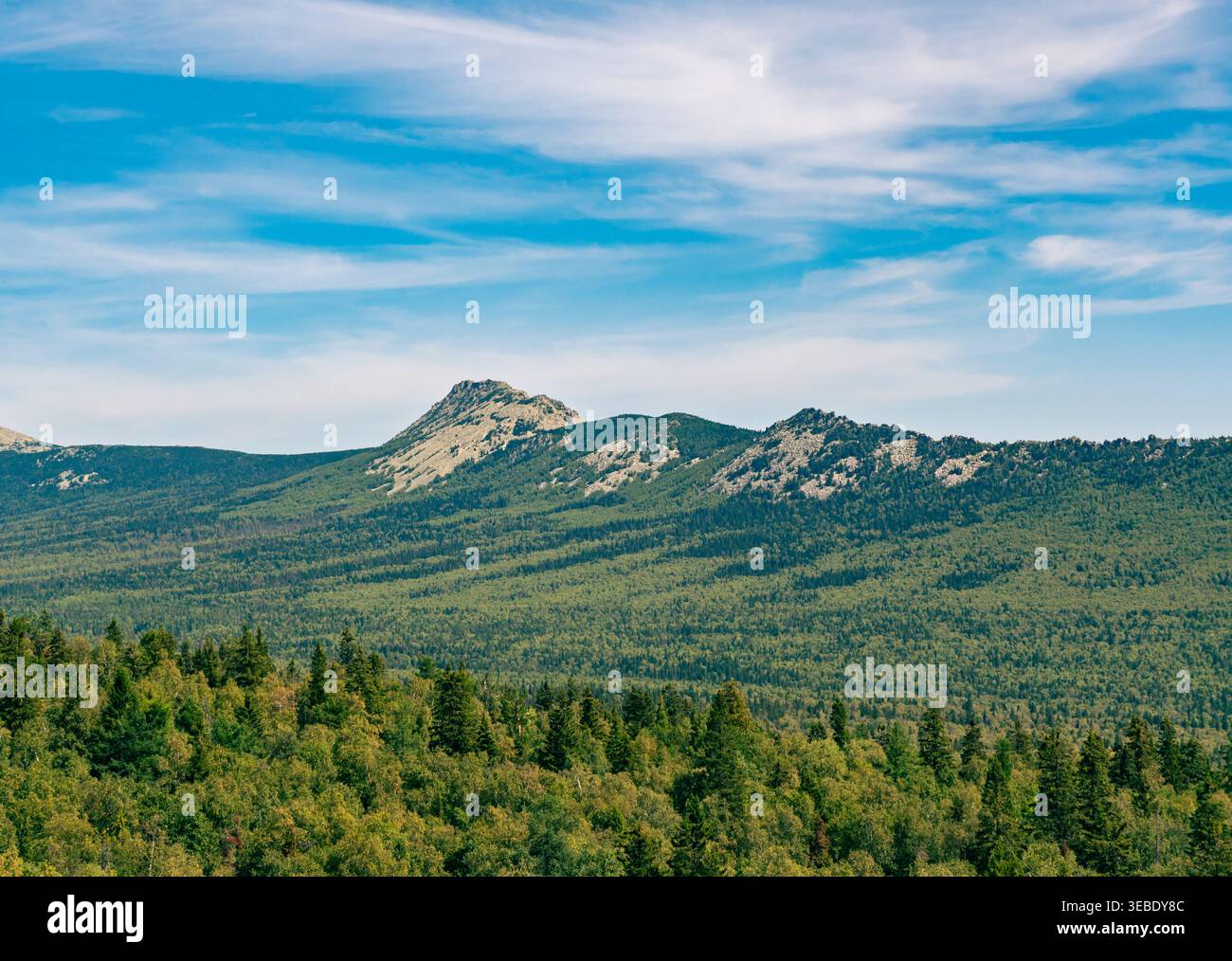 Berggipfel erheben sich über einem riesigen grünen Wald unter einem hellblauen Himmel mit schimmernden Wolken an einem klaren Tag Stockfoto