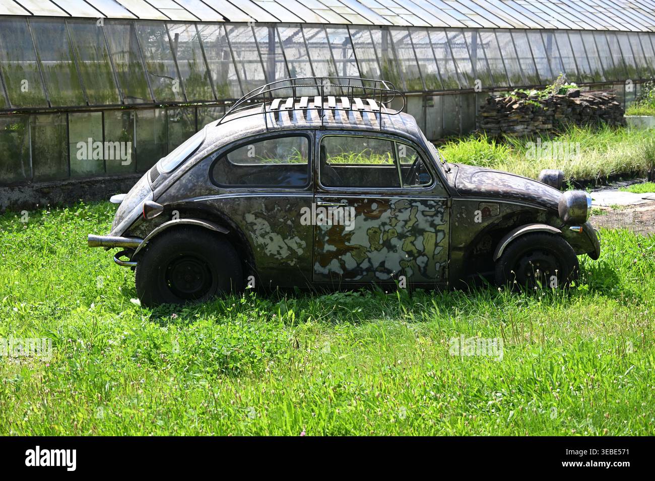 Der alte, rostige Volkswagen-Käfer ist auf einem verlassenen Oldtimer in den Boden gesunken Stockfoto