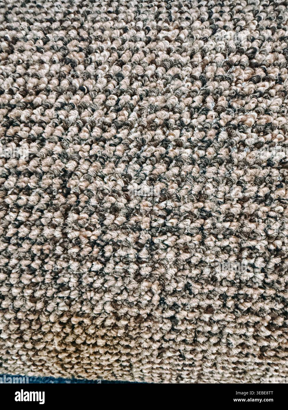 Hochauflösende Nahaufnahme einer neutralen Schlaufenstapel-Teppichoberfläche mit gemischten Beige- und Grautönen. Ideal für den Einsatz im Hintergrund, Innenraumkonzepte, fl Stockfoto