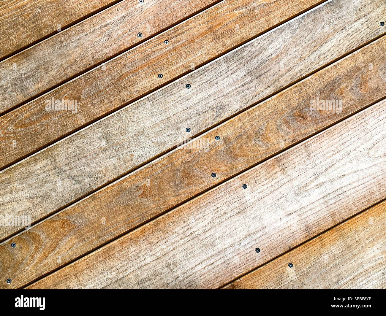 Nahaufnahme der Dielen auf Holzdielen, die durch Stahlschrauben gehalten werden. DIY-Konzept. Keine Personen. Stockfoto