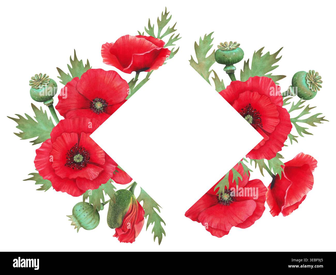 Aquarellillustration von Mohn und Blättern mit Schoten. Rahmen mit Leerzeichen für Text. Wild Poppy Festival. Tag der Erinnerung, Trauer. Botanisches templat Stockfoto