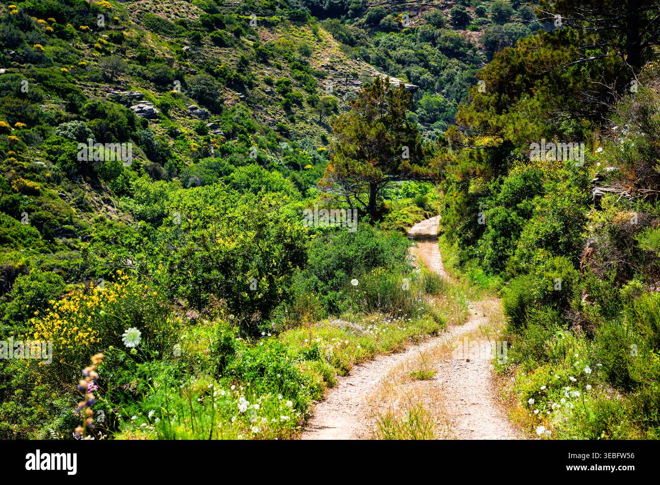 Straße zur Wassermühle von Aris potamos in der Nähe der Strandstadt Karavostamo, Ikaria Griechenland mit Blick auf die Bergklippe Landschaft und die Natur Stockfoto